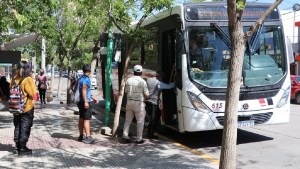 Boleto estudiantil para los alumnos de Río Negro: cómo acceder al beneficio