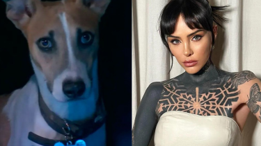 "¿Es joda que siguen teniendo al perro en la casa? Le metió una patada" escribió Candelaria en Instagram. 