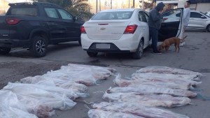 Descargaban 20 costillares de carne vacuna en plena Ruta 22 y los atrapó la policía en Roca