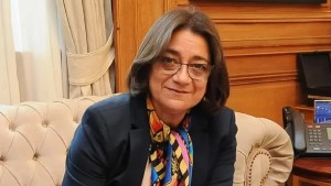 Ley Bases: senadora de Catamarca rechazará el proyecto a pesar del pedido del gobernador Jalil