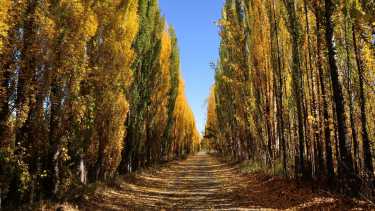 Pronóstico del tiempo en Neuquén y Río Negro para este lunes 10 de marzo 2025