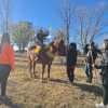 Imagen de Piden ayuda para refugiar a tres caballos en Choele Choel que hacen terapias con niños