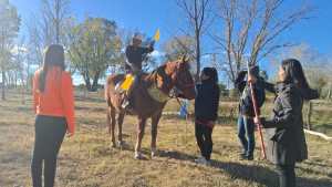 Piden ayuda para refugiar a tres caballos en Choele Choel que hacen terapias con niños