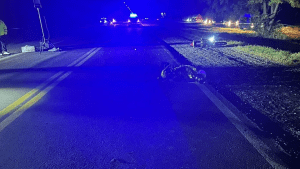 Murió un motociclista producto de un choque contra un caballo en La Pampa