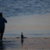 Imagen de «¿Hay pique maestro?» Las aventuras del pescador y su amigo el cormorán en Puerto Madryn