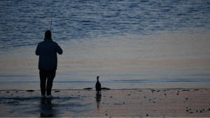 «¿Hay pique maestro?» Las aventuras del pescador y su amigo el cormorán en Puerto Madryn