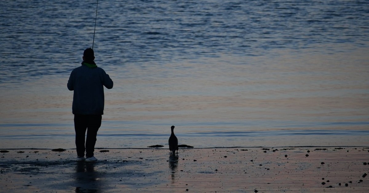 «¿Hay pique maestro?» Las aventuras del pescador y su amigo el cormorán en Puerto Madryn thumbnail