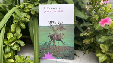 Libros: las novedades que traen poemas, un perfil de Ricardo Piglia y cuentos de Rafael Bielsa