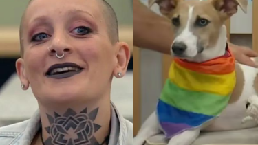 La organización "Huellitas Perdidas" marchará hasta la casa de Gran Hermano este domingo. 