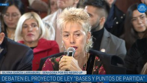 Ley Bases en el Senado, en vivo: «Tratemos de levantar un poquito el debate», el pedido de García Larraburu