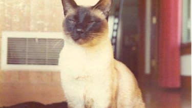 F.D.C Willard, autor de "L'hélium 3 solide. Un antiferromagnétique nucléaire" y "Efectos de intercambio de dos, tres y cuatro átomos en bcc 3He" Fuente: academiaobscura