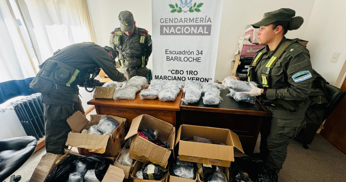 Descubrieron 44 kilos de marihuana oculta en una encomienda que arribó a Bariloche thumbnail
