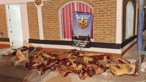 Secuestraron 500 kilos de carne que transportaban de manera ilegal, cerca de Roca