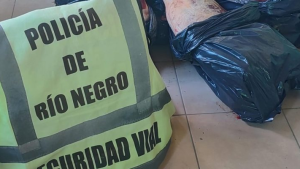Transportaban 100 kilos de carne de manera ilegal y fueron descubiertos en Chichinales