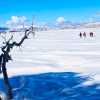 Imagen de Sueño cumplido: épica caminata en la nieve para llegar a las lagunas que esconden un tesoro de la Patagonia