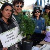 Imagen de Neuquén y Río Negro se sumaron a la Marcha Mundial de la Marihuana: los ejes del reclamo
