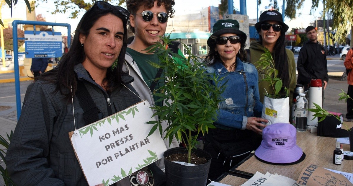 Neuquén y Río Negro se sumaron a la Marcha Mundial de la Marihuana: los ejes del reclamo thumbnail