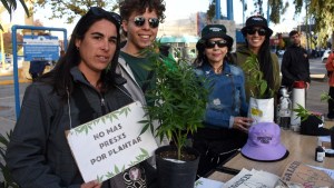 Neuquén y Río Negro se sumaron a la Marcha Mundial de la Marihuana: los ejes del reclamo