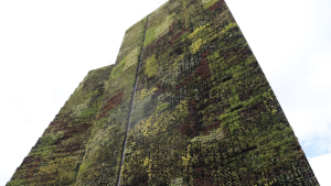 Cómo hizo Medellín para bajar drásticamente su temperatura en tres años