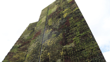 El jardín vertical del Ayuntamiento. Foto: Peter Yeung.