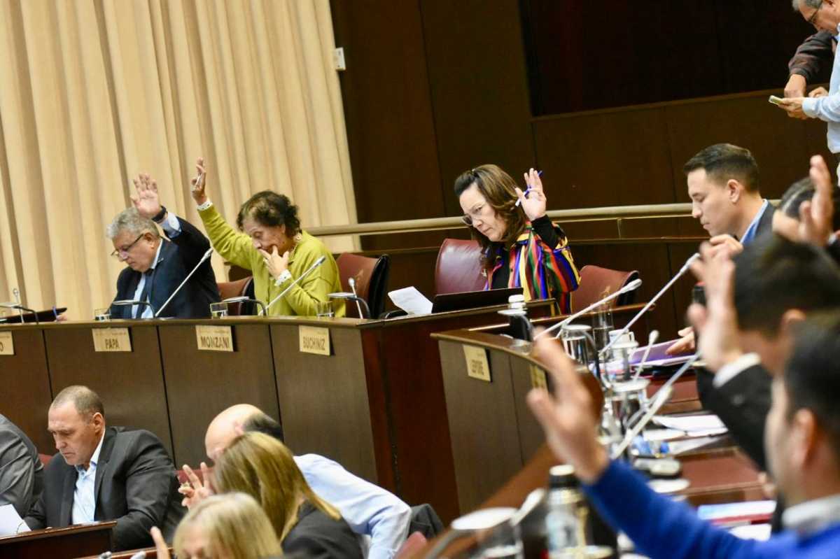 La Legislatura sesionó este miércoles desde el mediodía. La votación fue 26 a 2. Foto: Matías Subat.