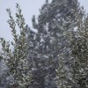 Imagen de Alerta por nieve en Neuquén este martes: horarios y zonas más afectadas