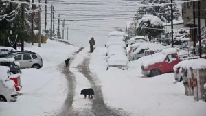 Alerta por nieve y lluvias en Neuquén y Río Negro, desde este sábado: los peores horarios