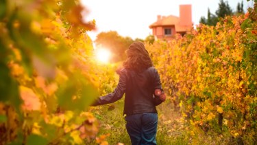 Mendoza sale: descuentos de hasta el 30% para la mejor escapada de otoño entre bodegas y montañas nevadas