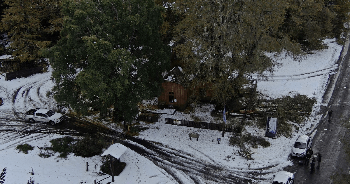 the road full of snow seen from a drone, in Lanín park