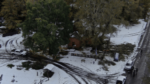 Video | El hermoso camino lleno de nieve visto desde un drone, en el parque Lanín