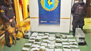 Desarticulan una red de tráfico de imágenes de abuso sexual infantil: la investigación comenzó en Esquel