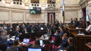 Ley Bases al Senado: cómo votarían los legisladores de Neuquén y Río Negro