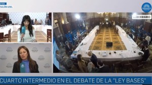 Video: Ley Bases en el Senado, cuarto intermedio en el debate tras dos exposiciones pendientes