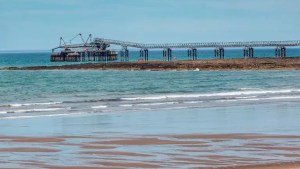El proyecto de la planta de GNL de Río Negro «es superador al presentado por el puerto de Bahía Blanca» dijo el ministro Lutz