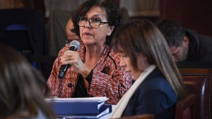 Ley Bases en el Senado, en vivo: fuertes críticas de Silvia Sapag y el contrapunto entre un senador y un funcionario