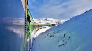 Tren Patagónico en Río Negro: estos son los precios de los pasajes para viajar de Bariloche a San Antonio Oeste