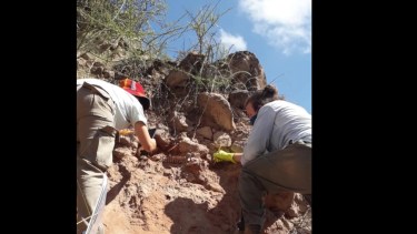 Video | Revelan asombrosos datos sobre una mujer que vivió hace 600 años en Fernández Oro