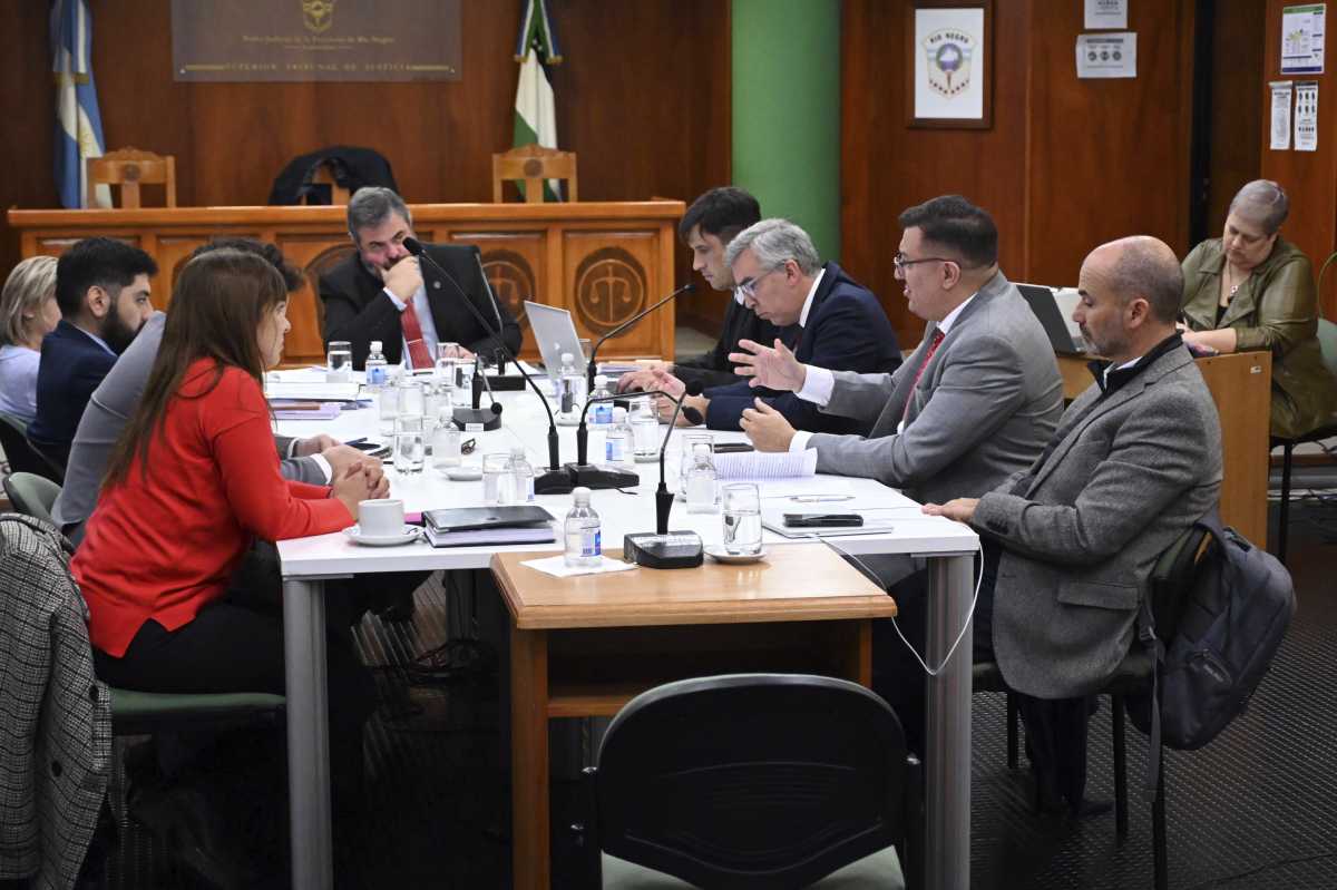 A la derecha los legisladores que conforman el Consejo de la Magistratura (Marcelo Ochoa)