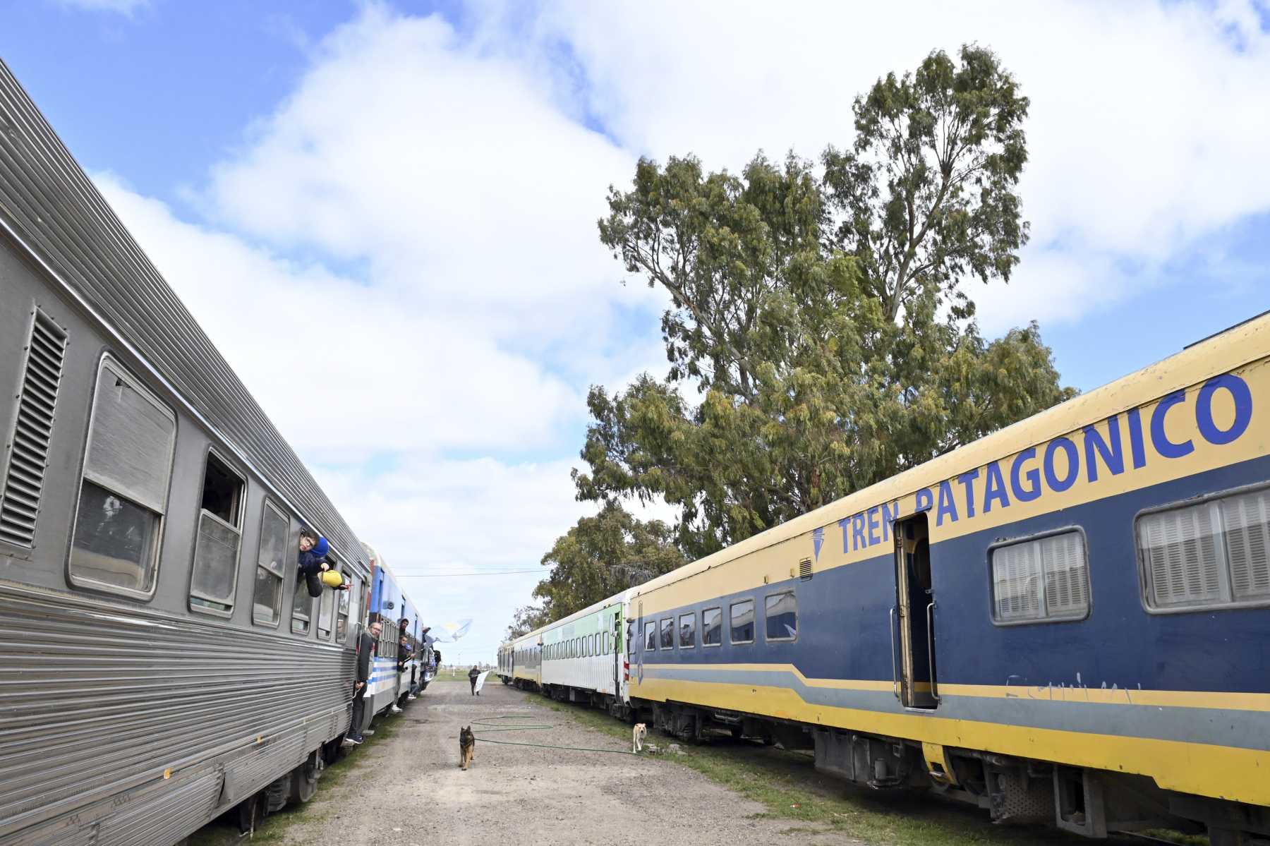 Tren Patagónico: vuelve a funcionar el servicio que conecta San Antonio ...