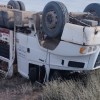 Imagen de Volcó su camión con chanchos por intentar esquivar un auto en Ruta 22, cerca de Chelforó