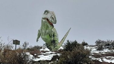Las propuestas de turismo de cercanía se muestran en un shopping de Neuquén