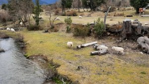 Parques Nacionales asiste a pobladores en El Manso Inferior