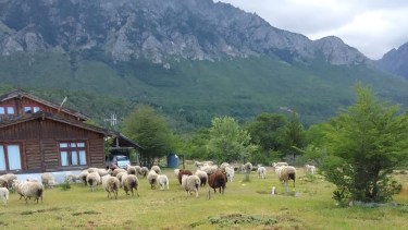 Las Huaytecas está en El Foyel, a unos 30 kilómetros de El Bolsón. Foto: gentileza