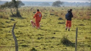 Búsqueda de Loan | Una media con sangre y la acusación contra la madre: «Por venganza»