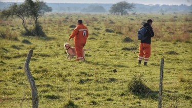 La búsqueda de Loan se realiza con perros adiestrados.