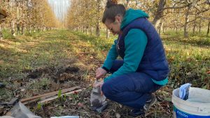 Hacia una fruticultura con mayor valor agregado ambiental en el Alto Valle