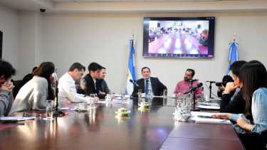 Los diputados de Neuquén buscan participar por Zoom de las comisiones. Foto: archivo Cecilia Maletti.