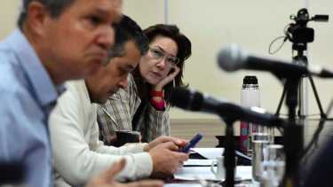 Brenda Buchiniz es la autora del proyecto de ley que se discute en la comisión de Asuntos Constitucionales de la Legislatura. Foto Cecilia Maletti.