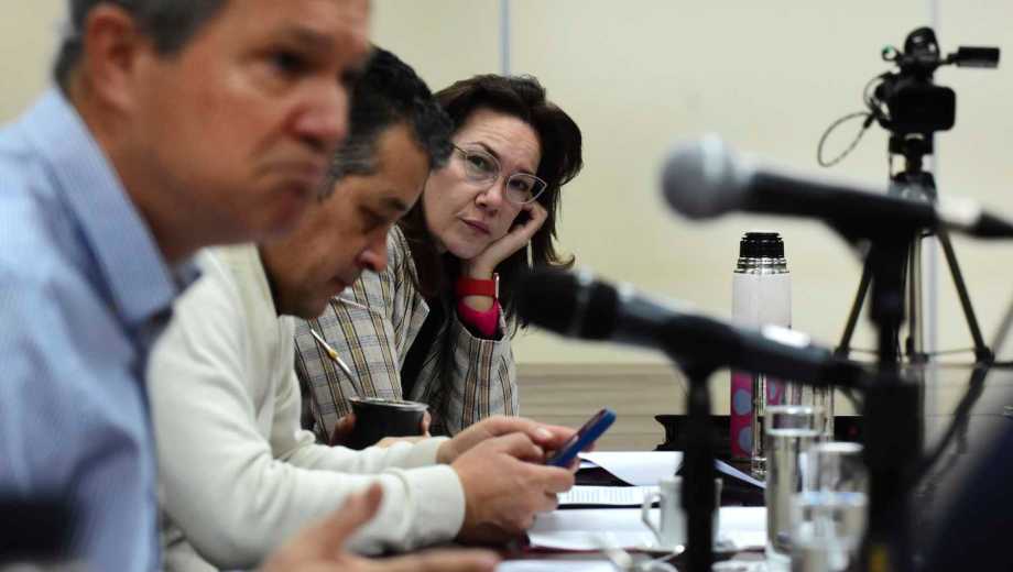 Brenda Buchiniz, diputada de Cumplir. Foto Cecilia Maletti.
