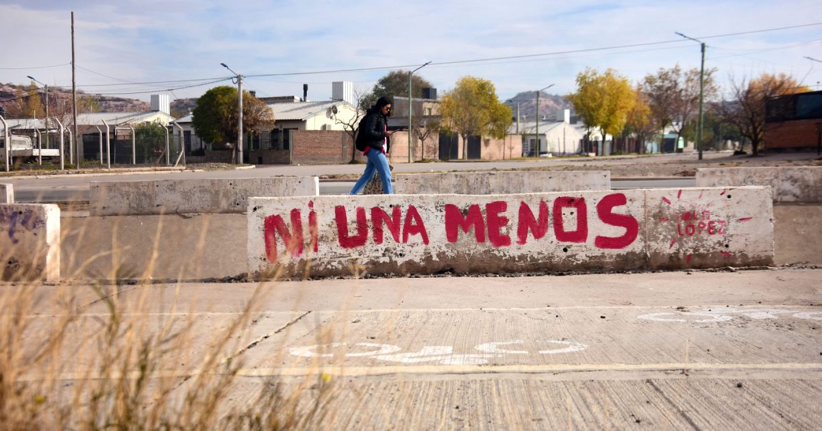 Nine years of “Ni Una Menos”: no revenue and decreased applications in Nación and Neuquén